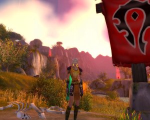 WoWScrnShot_062108_185131.jpg